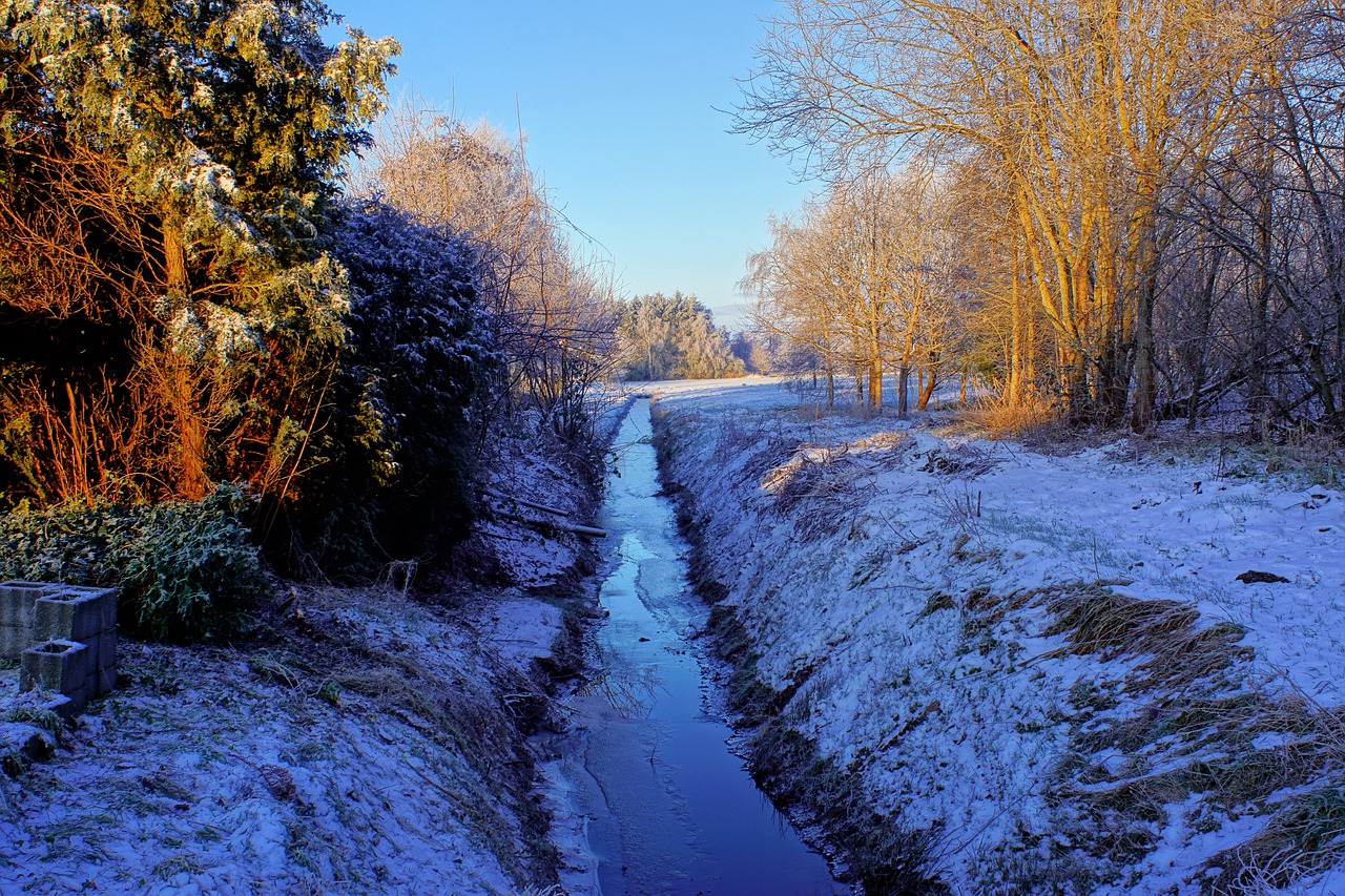 Canal Snow Woods Trees Bare Trees  - Kapa65 / Pixabay