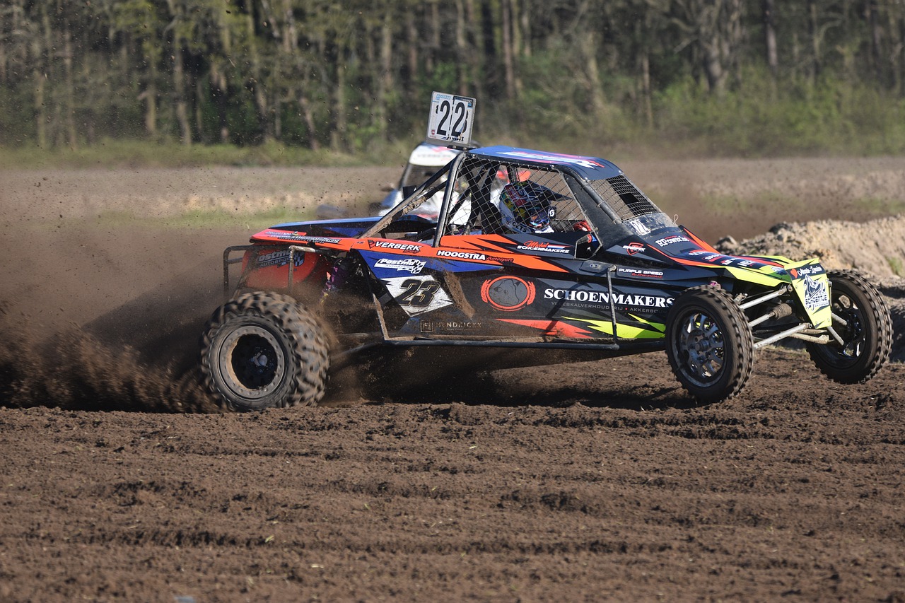 Car Races Rides The Rivalry Speed - artellliii72 / Pixabay