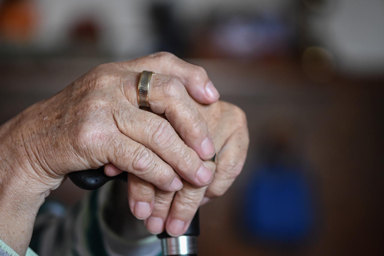 Care For The Elderly  - Alexas_Fotos / Pixabay