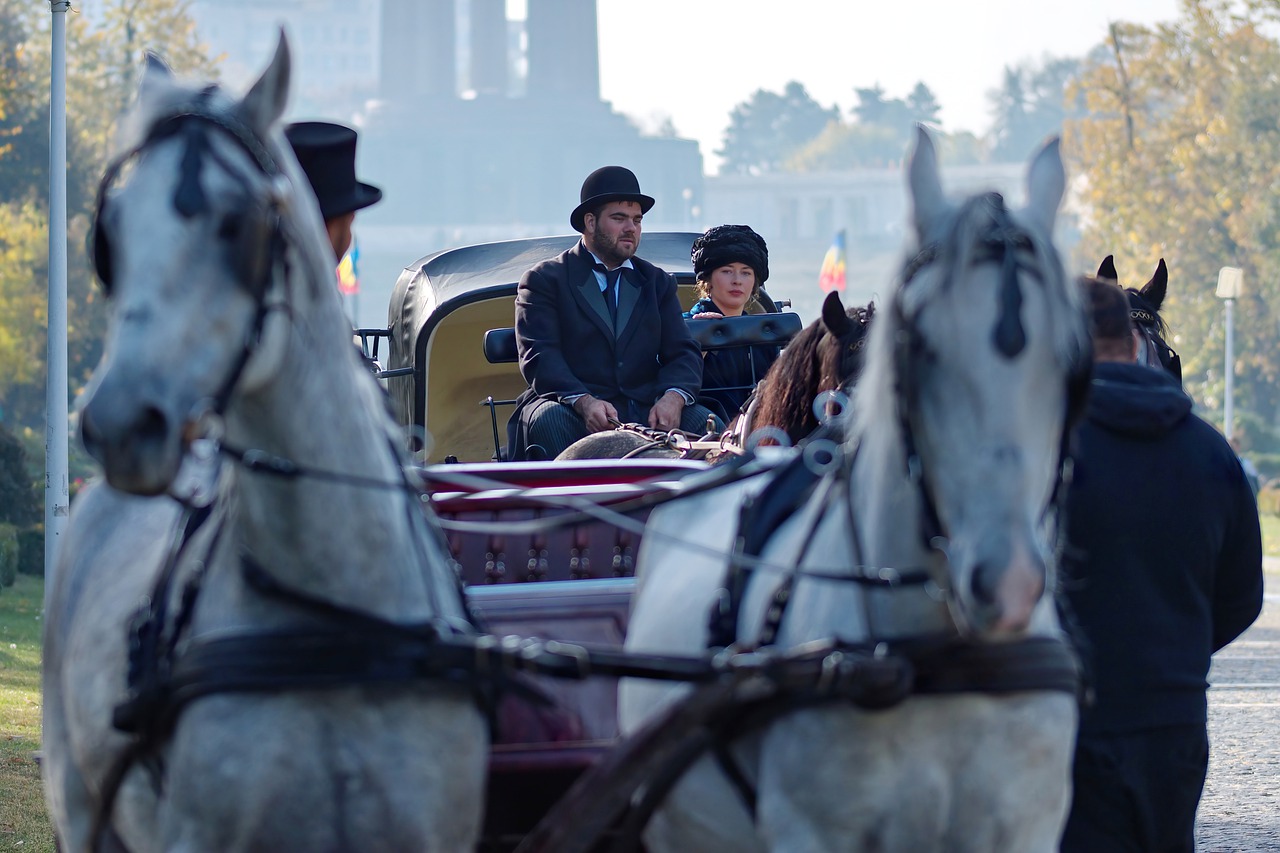 Carriage Horses Actors People  - icsilviu / Pixabay