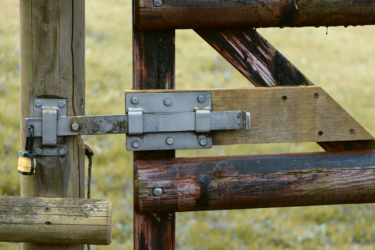 Castle Bolt Completed Shut Off To  - manfredrichter / Pixabay