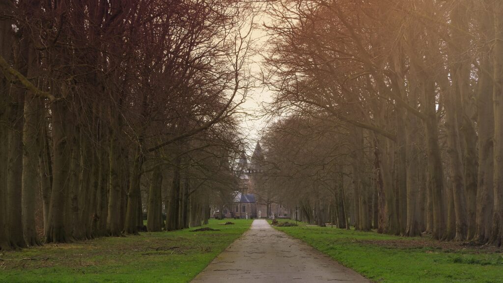 Castle De Haar Utrecht Alley Park  - MAKY_OREL / Pixabay