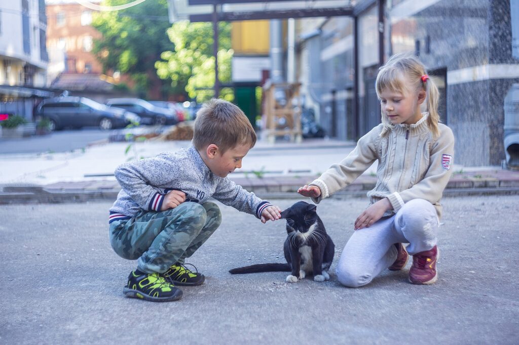 Cat Kids Smiles Joy Love  - LuidmilaKot / Pixabay