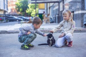 Cat Kids Smiles Joy Love - LuidmilaKot / Pixabay