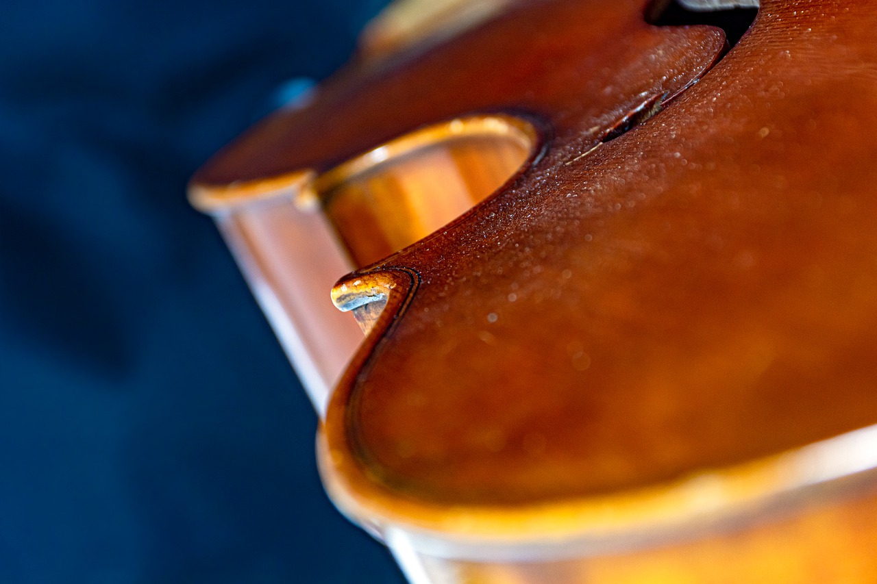 Cello Rosin Dust Cello Curves Bass  - Ri_Ya / Pixabay