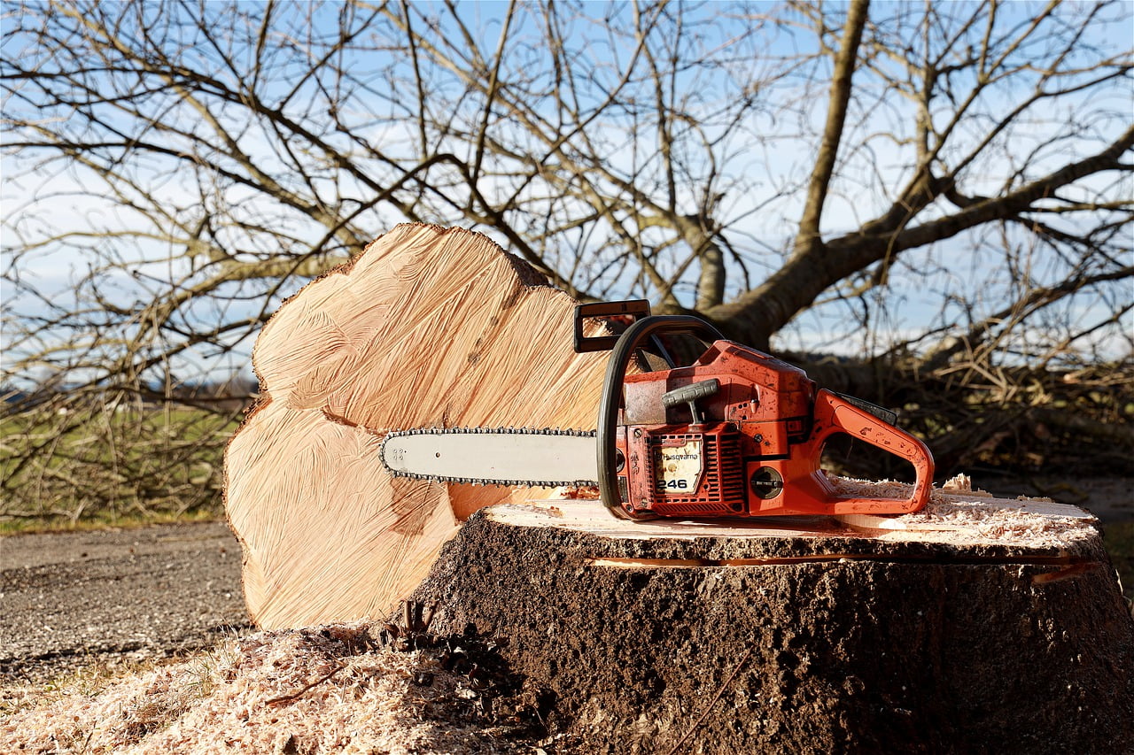Chainsaw Tree Tree Pruning - WFranz / Pixabay