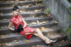 Cheongsam Fashion Woman Vietnamese  - TieuBaoTruong / Pixabay