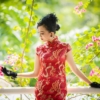 Cheongsam Fashion Woman Vietnamese  - TieuBaoTruong / Pixabay