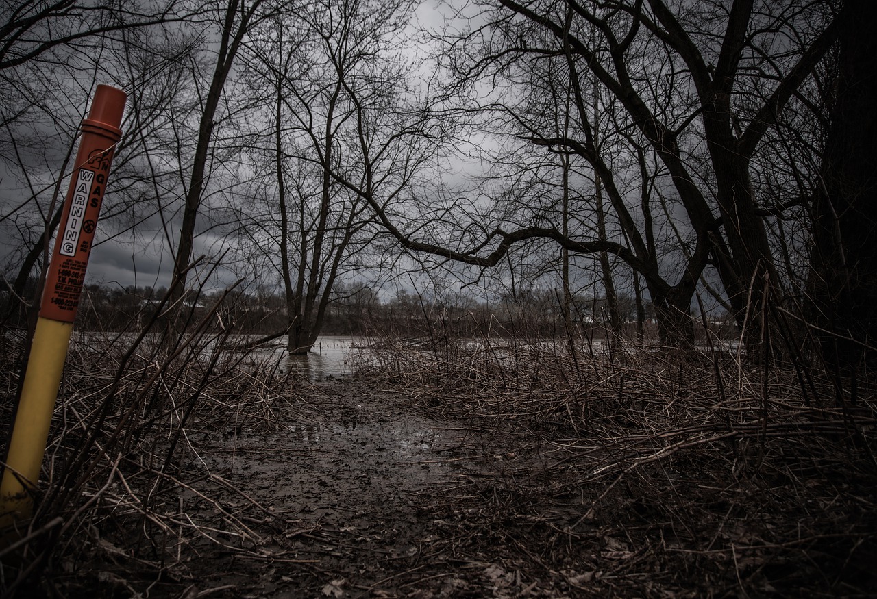 Chernobyl Scary Drama Apocalypse  - Harmony412 / Pixabay