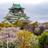 Cherry Blossoms Japan Osaka  - nguyendinhson067 / Pixabay