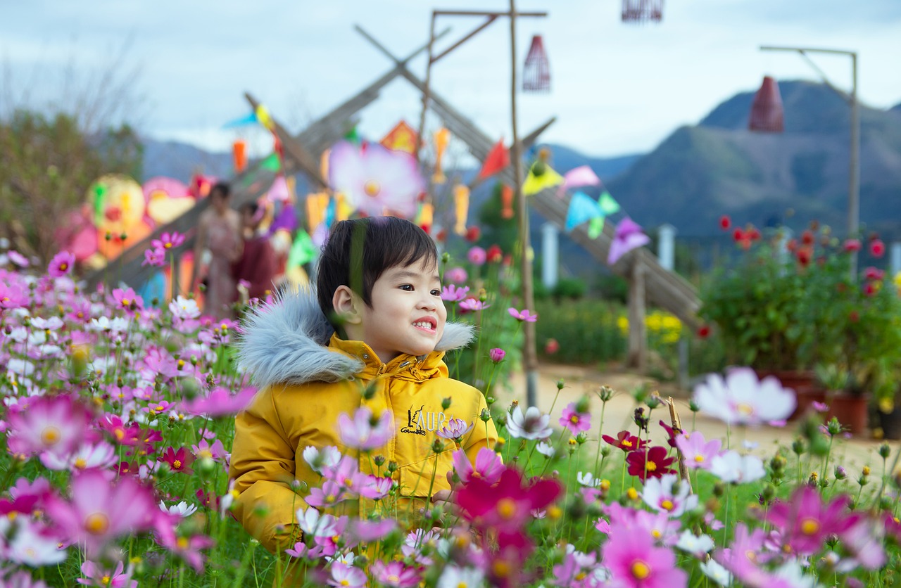 Child Boy Flowers Plants Garden - Dung_Tay_Bac / Pixabay