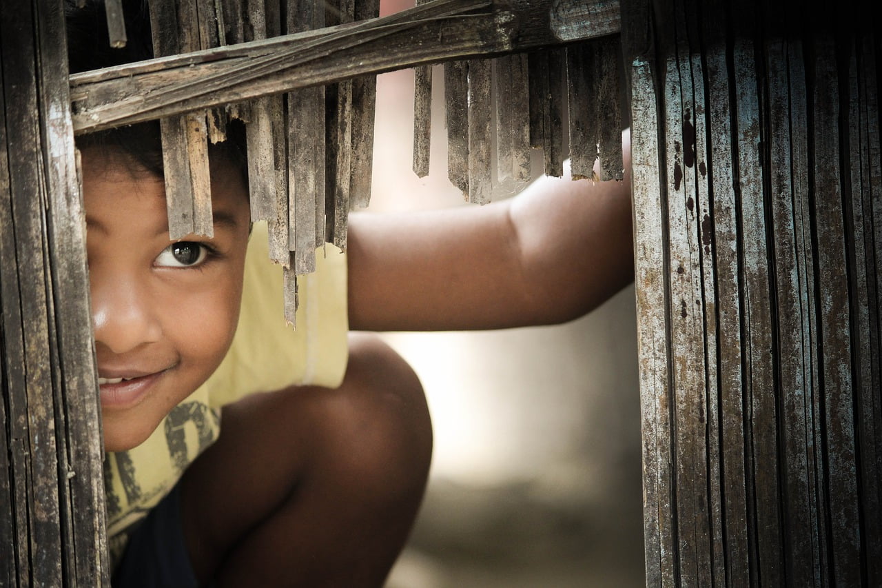 Child Boy Kid Young Boy Cute  - moonbhuyan / Pixabay