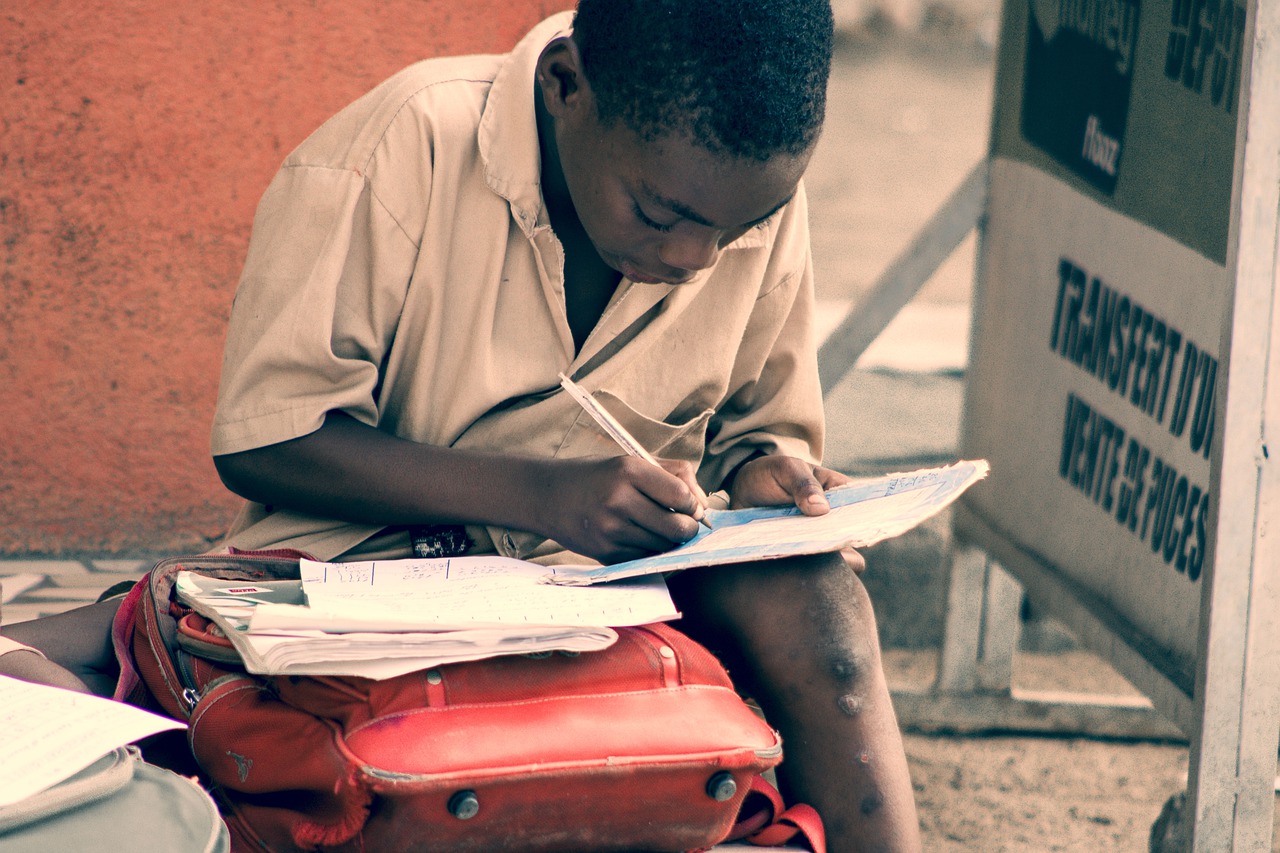 Child Boy Student School Books  - kassoum_kone / Pixabay