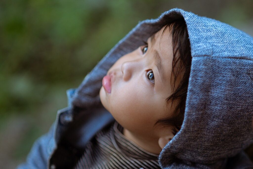 Child Girl Cute Portrait Face Kid  - suzalgurungz / Pixabay