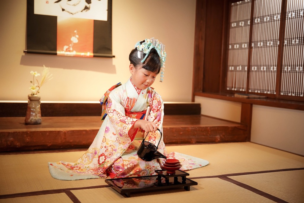 Child Kimono Traditional Portrait  - YKura / Pixabay