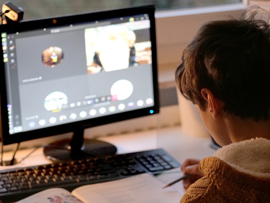 Child Student Video Conference  - AmrThele / Pixabay