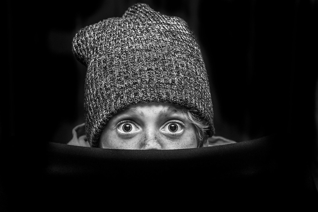 Child Surprised Face Shocked  - giselaatje / Pixabay