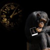Chimpanzee Clock Photograph Time  - MARTYSEB / Pixabay