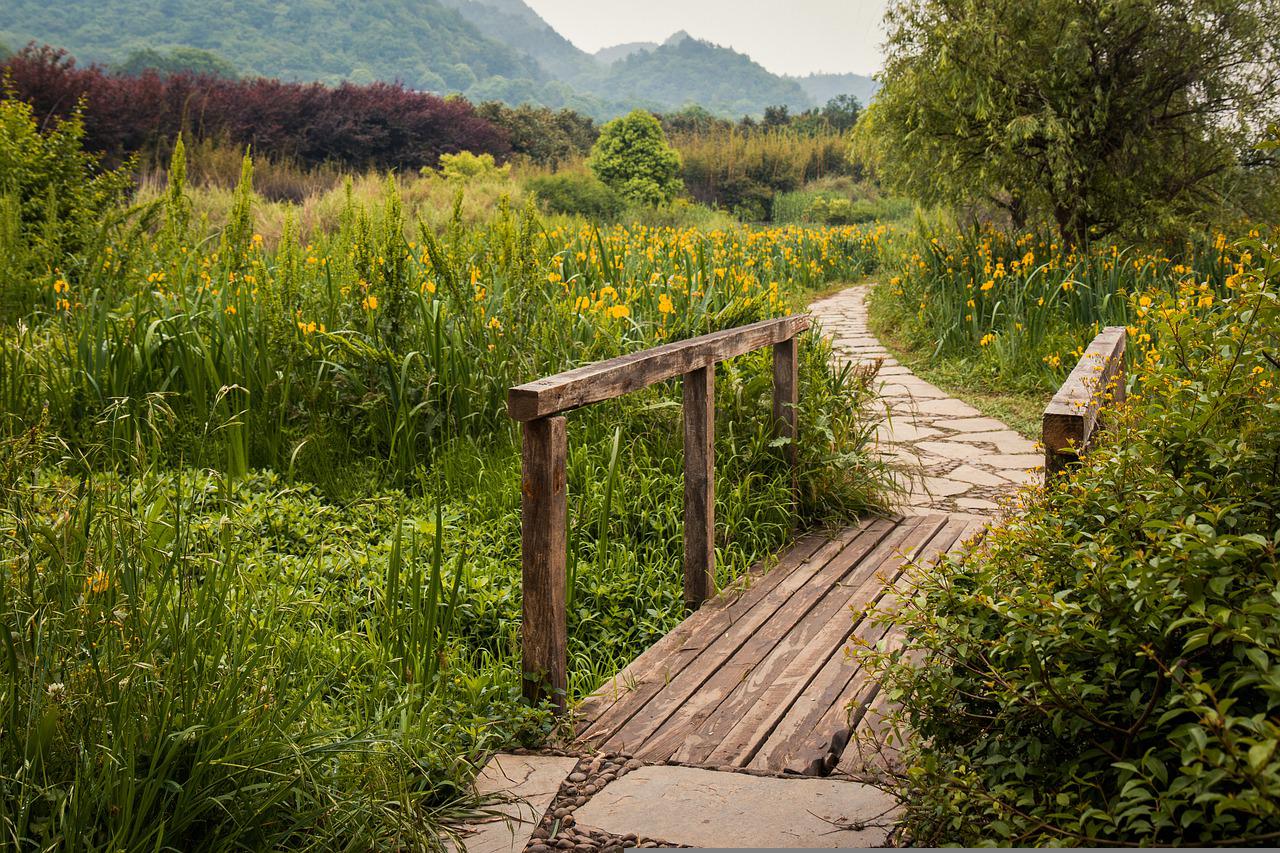 china meadow guizhou path scenery 6796350