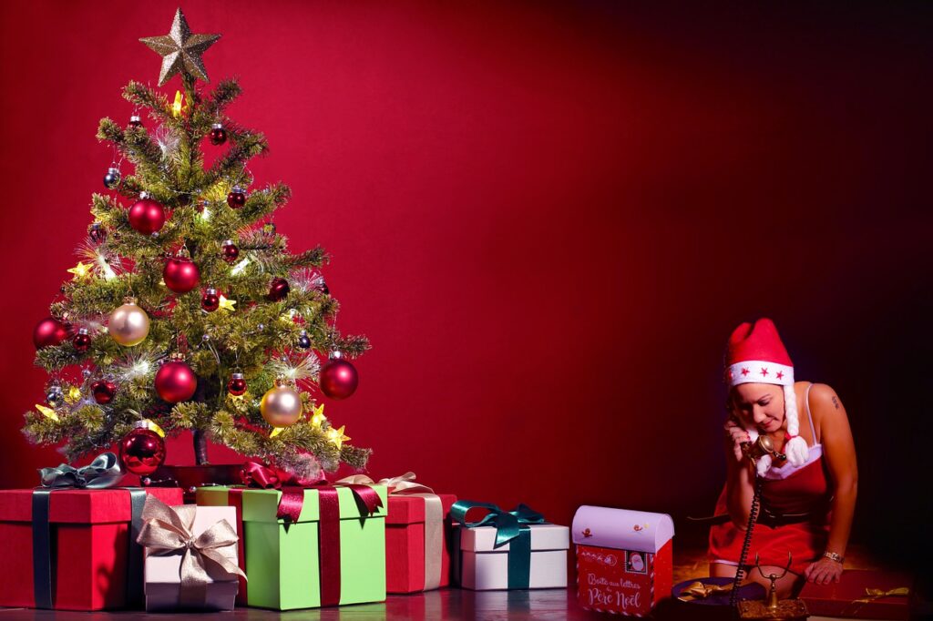 Christmas Gifts Woman Santa Costume  - cromagnon130 / Pixabay