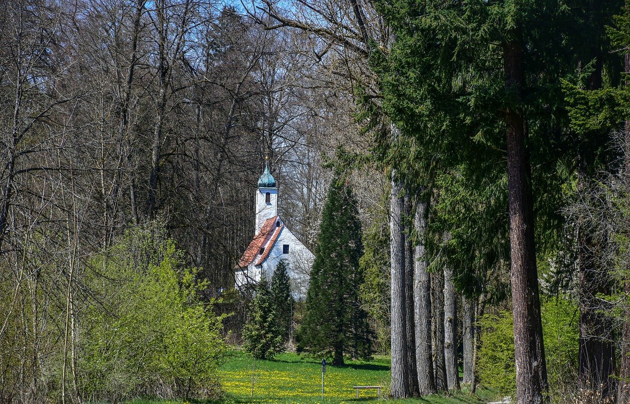Church Trees Countryside Building  - RitaE / Pixabay