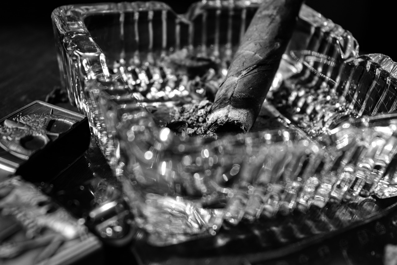 Cigar Smoke Ashtray Black And White  - azideiadele / Pixabay