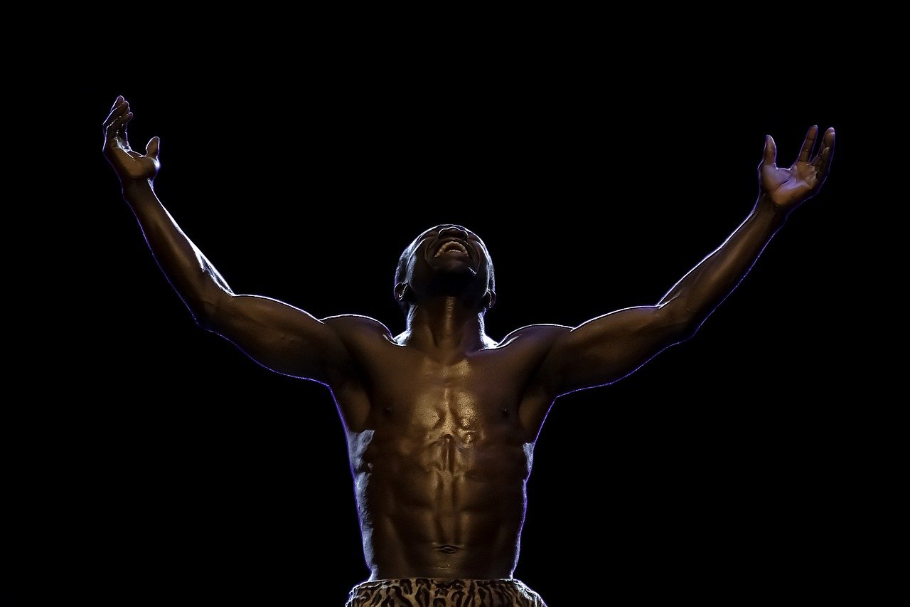 Circus Man Person Performer - Ri_Ya / Pixabay