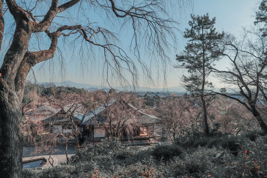 City Kyoto Japan Travel Asia  - cplz99atcsnilyk / Pixabay
