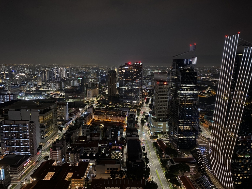 City Night Singapore Buildings  - pigbirdegg / Pixabay