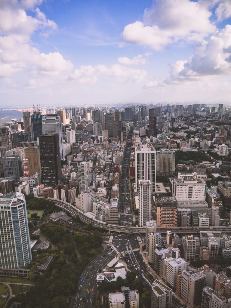 City Tokyo Panorama Buildings  - hdscpt / Pixabay