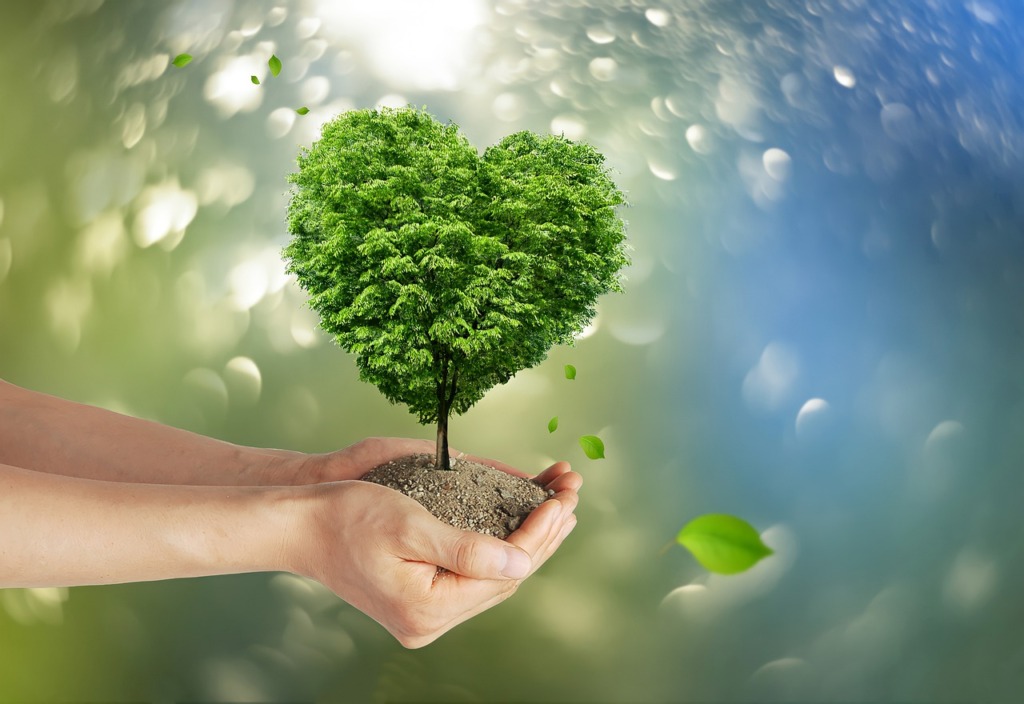 Climate Protection Tree Hands Earth  - isi-reiki / Pixabay