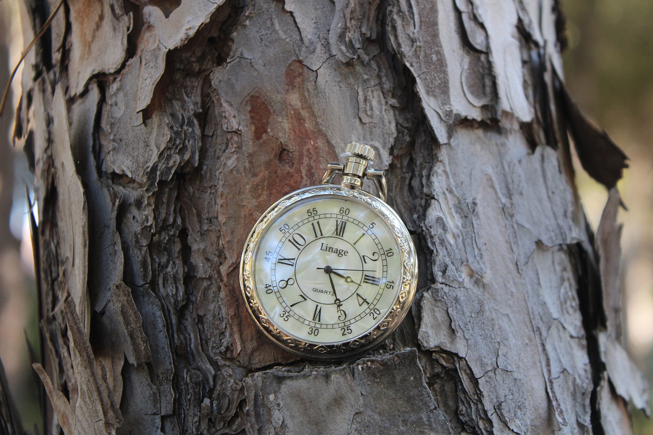 Clock Time Mechanical Tree Forest  - antgarprats / Pixabay