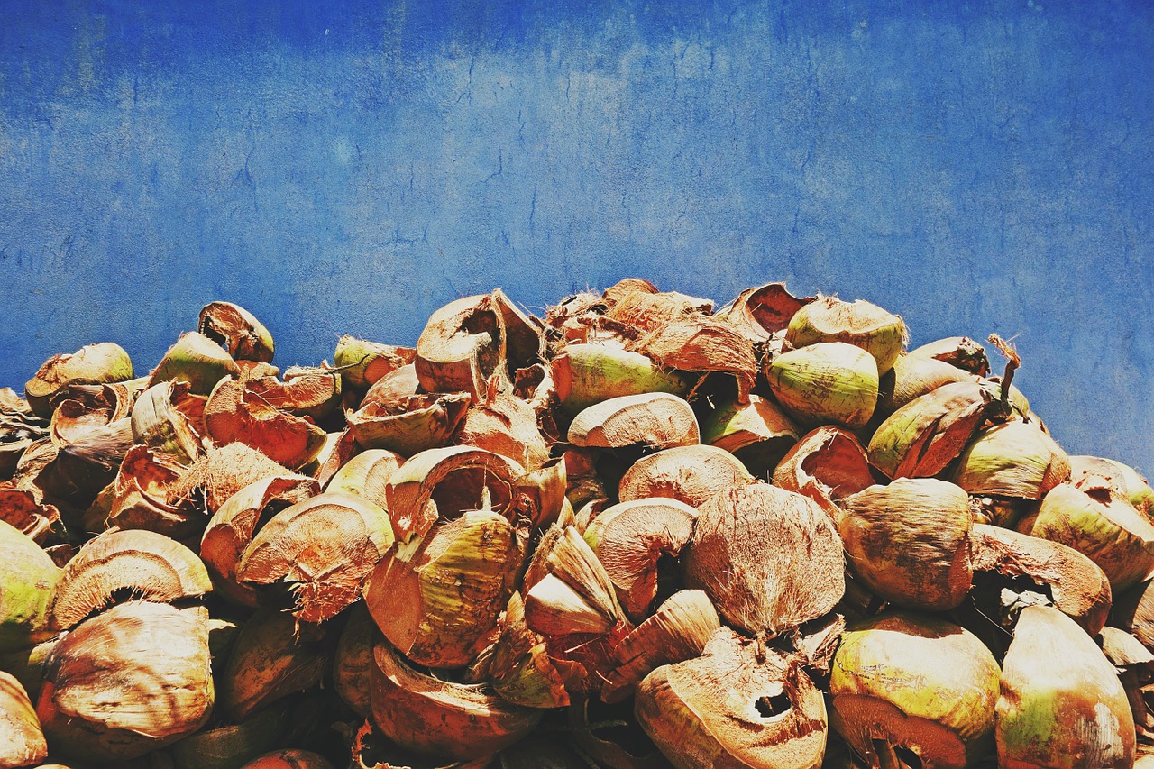 Coconut Shells Material Blue Wall - Republica / Pixabay