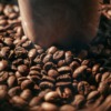 Coffee Grounds Roasted Coffee Grounds  - WithLoveFromUkraine / Pixabay