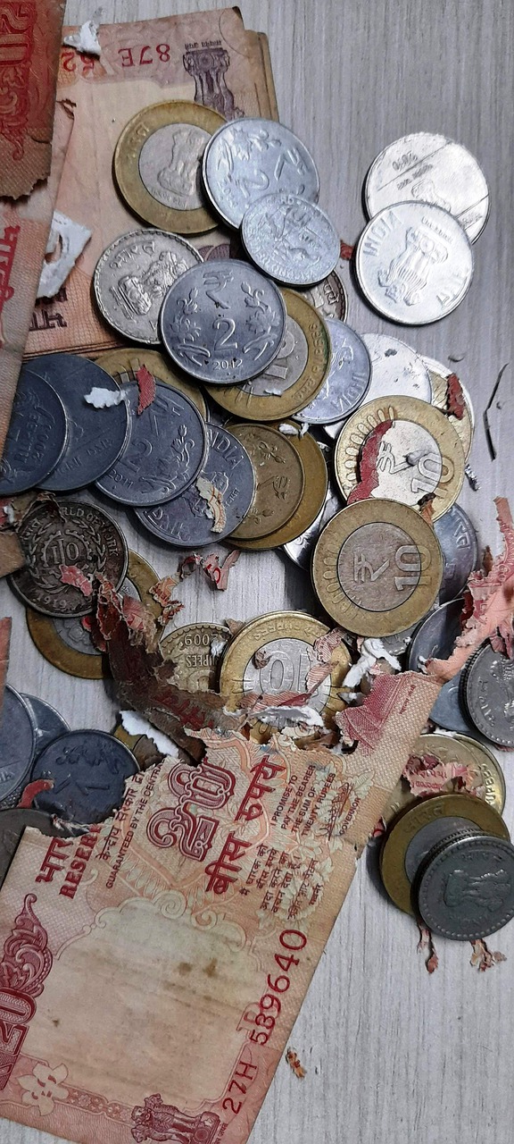 Coins Bills Torn Damaged Money - PhotoLandCitizen / Pixabay