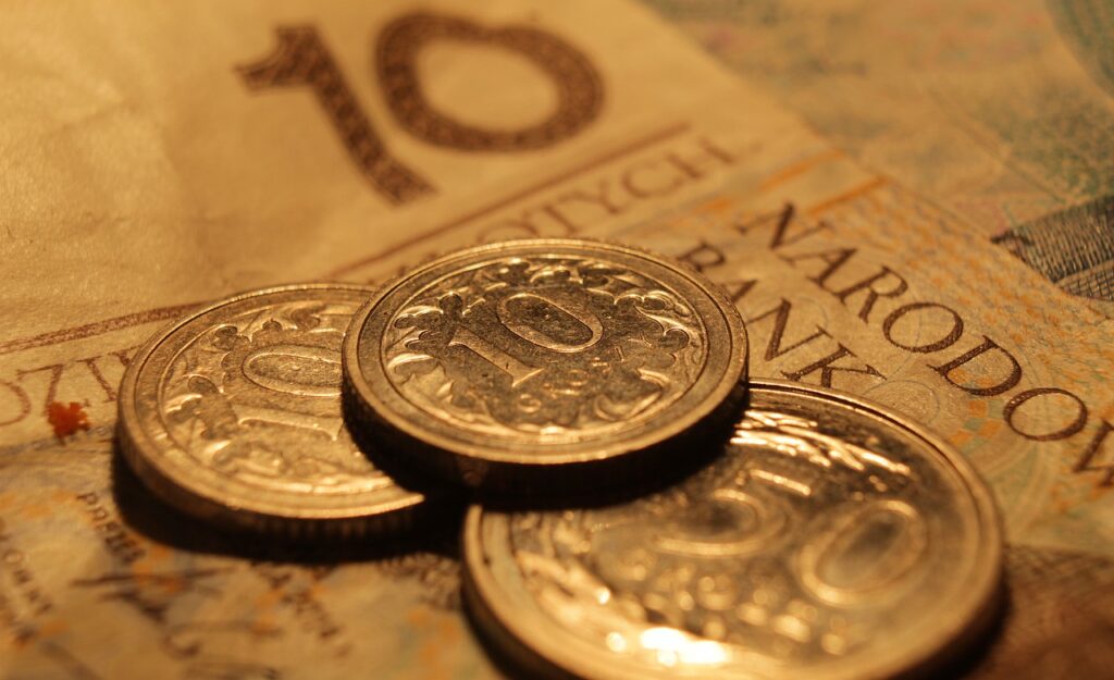 Coins Money Euro Bank Notes Credit  - gosiak1980 / Pixabay