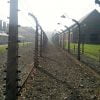 Concentration Camp Holocaust  - 579020 / Pixabay
