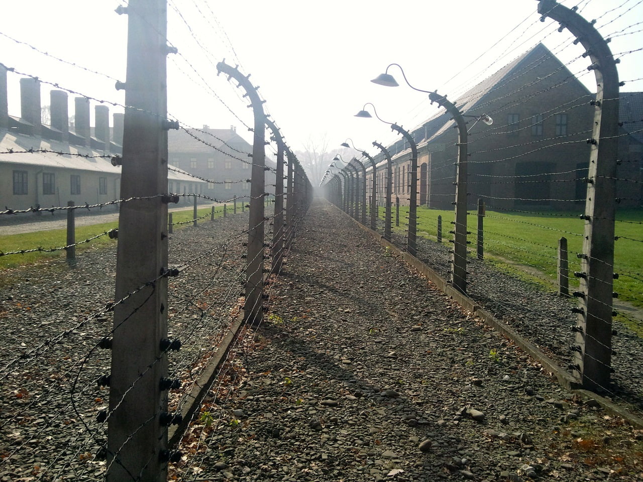 Concentration Camp Holocaust  - 579020 / Pixabay