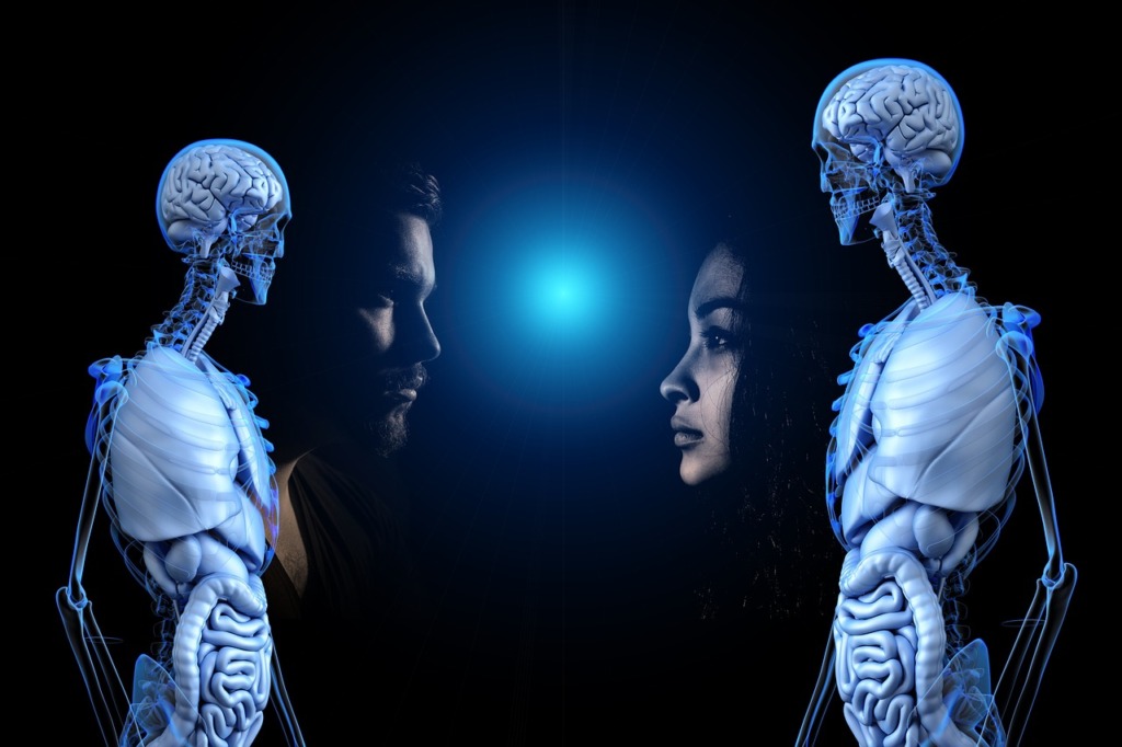 Consciousness Anatomy Human Man  - geralt / Pixabay