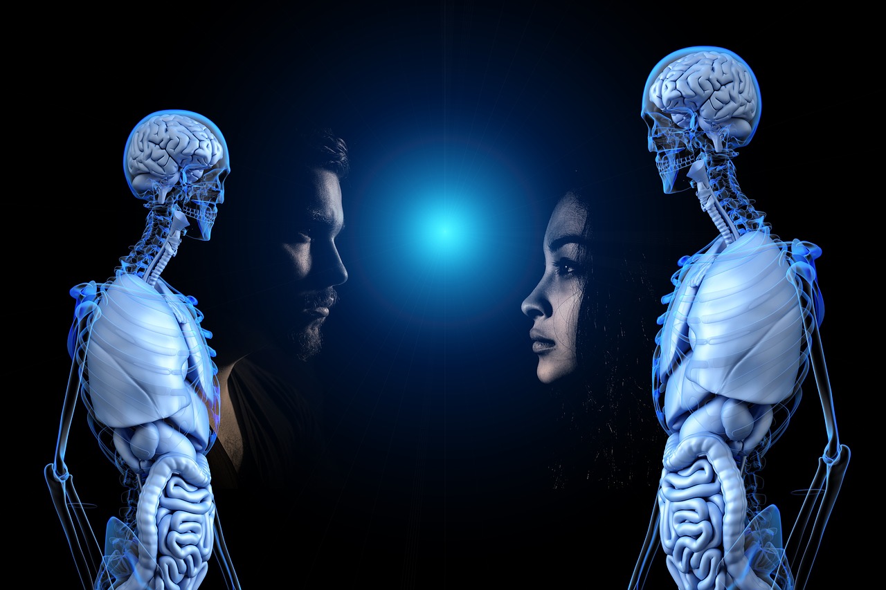 Consciousness Anatomy Human Man - geralt / Pixabay