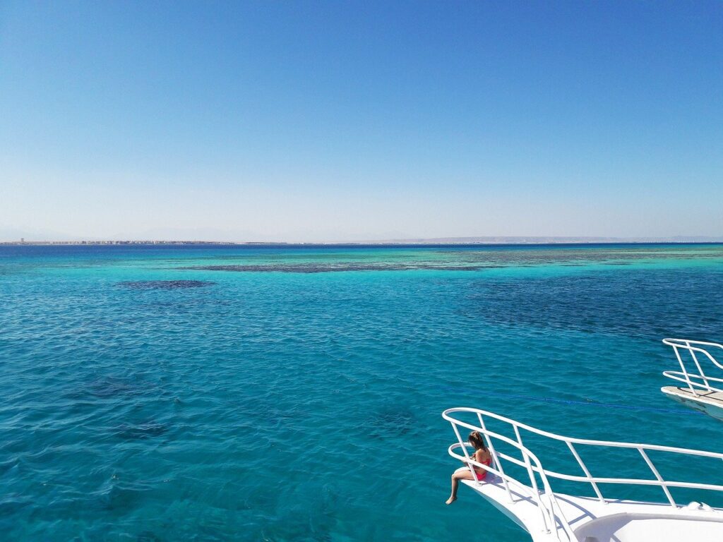 Coral Reefs Sea Egypt Reefs  - Sabine_Zierer / Pixabay