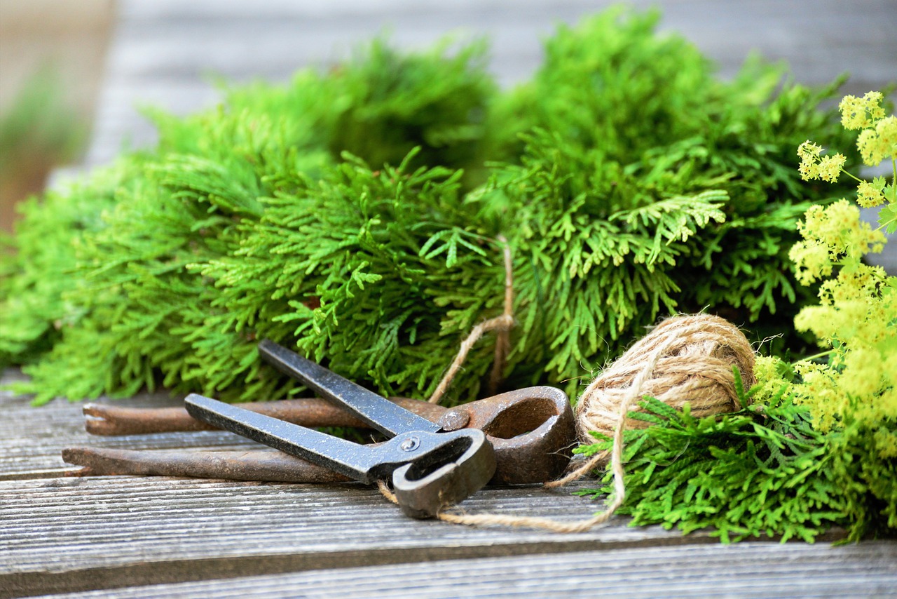 Cord Yarn Floristry Tree Of Life - congerdesign / Pixabay