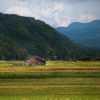 Cottage Rice Field Valley Mountains  - dep377 / Pixabay