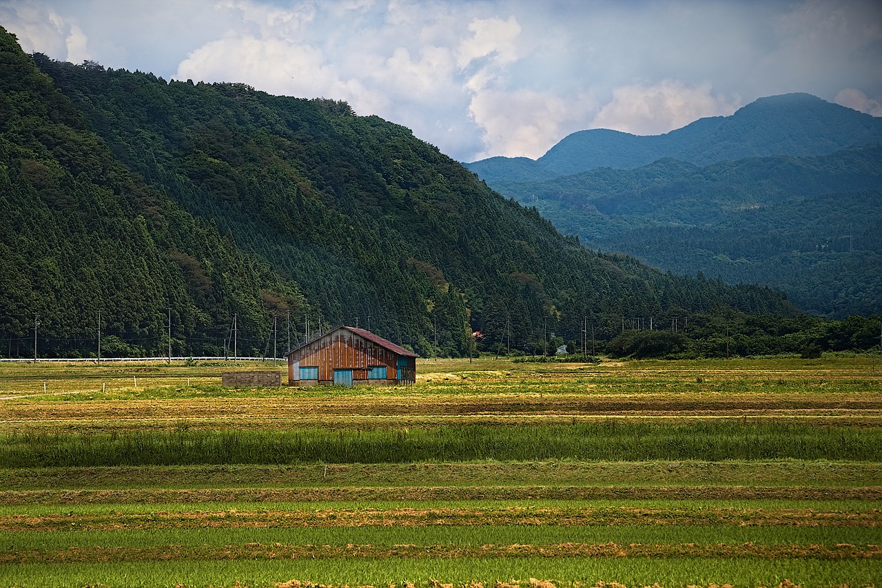 Cottage Rice Field Valley Mountains  - dep377 / Pixabay
