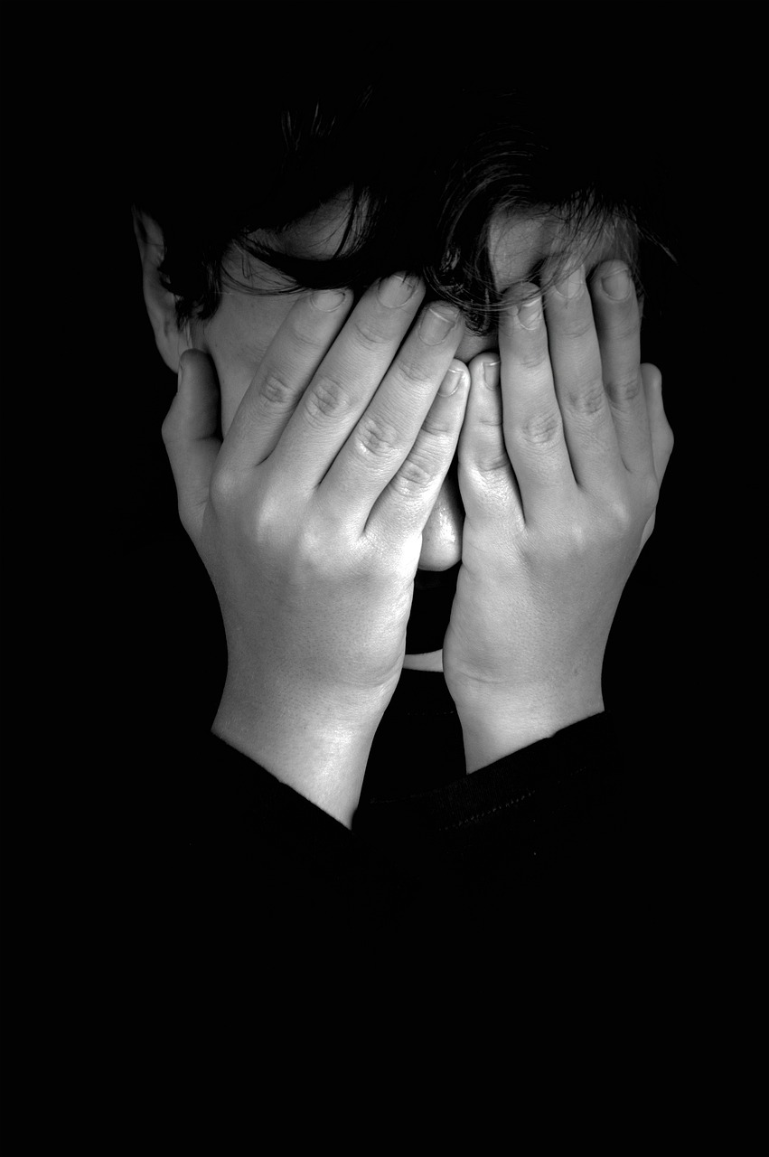 Cover Your Face With Your Hands Hide  - Vic_B / Pixabay