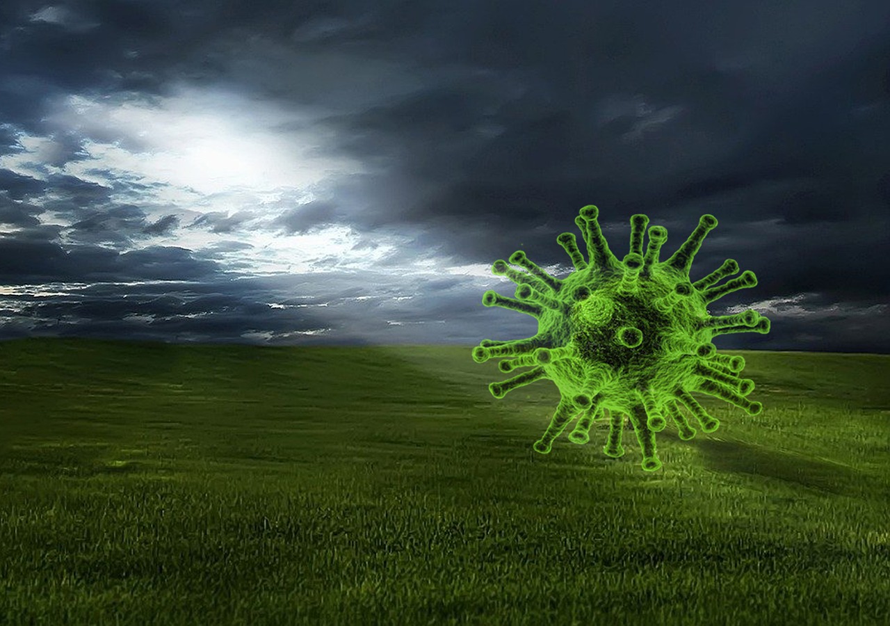 Covid  Virus Field Sunlight  - Matryx / Pixabay