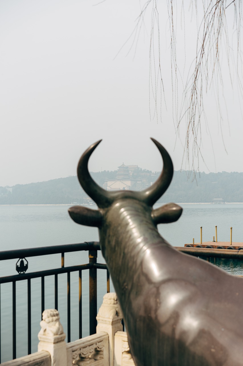 Cow Horn Porcelain Emperor History  - viarami / Pixabay