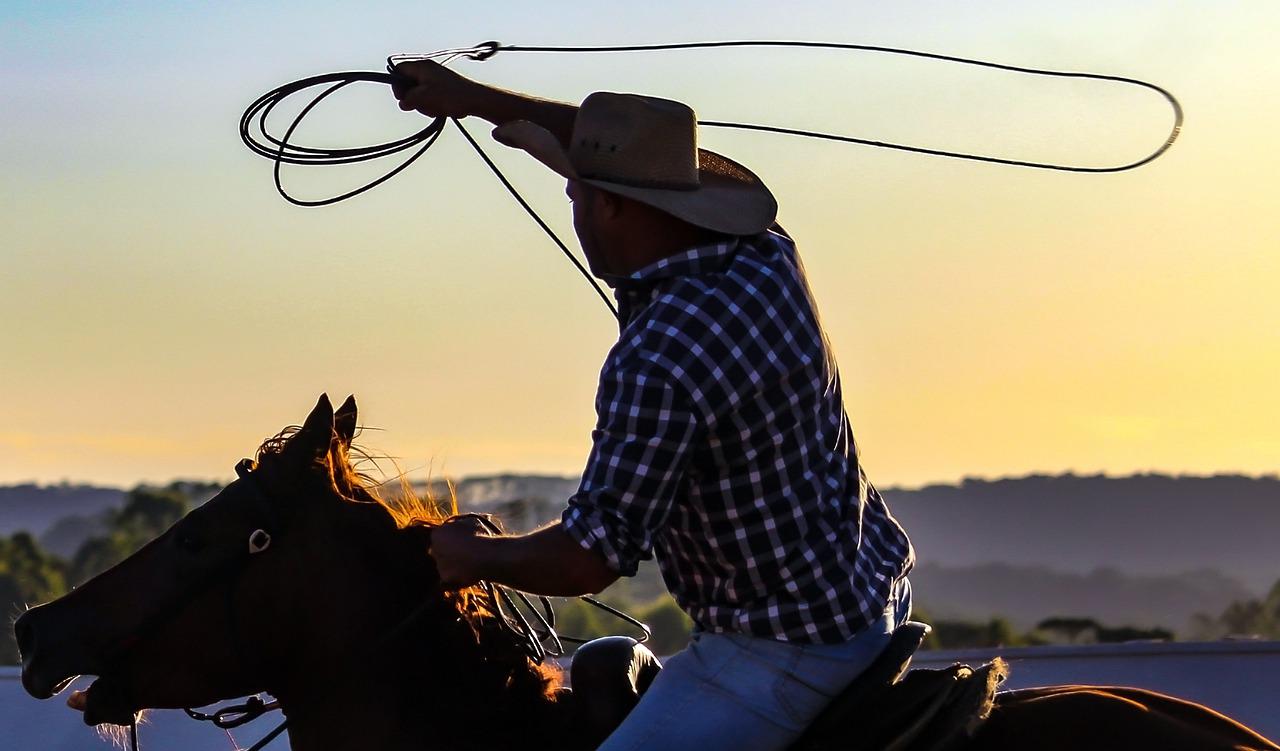 Cowboy Rodeo Horse Horse Hat - marciabittencourt1 / Pixabay