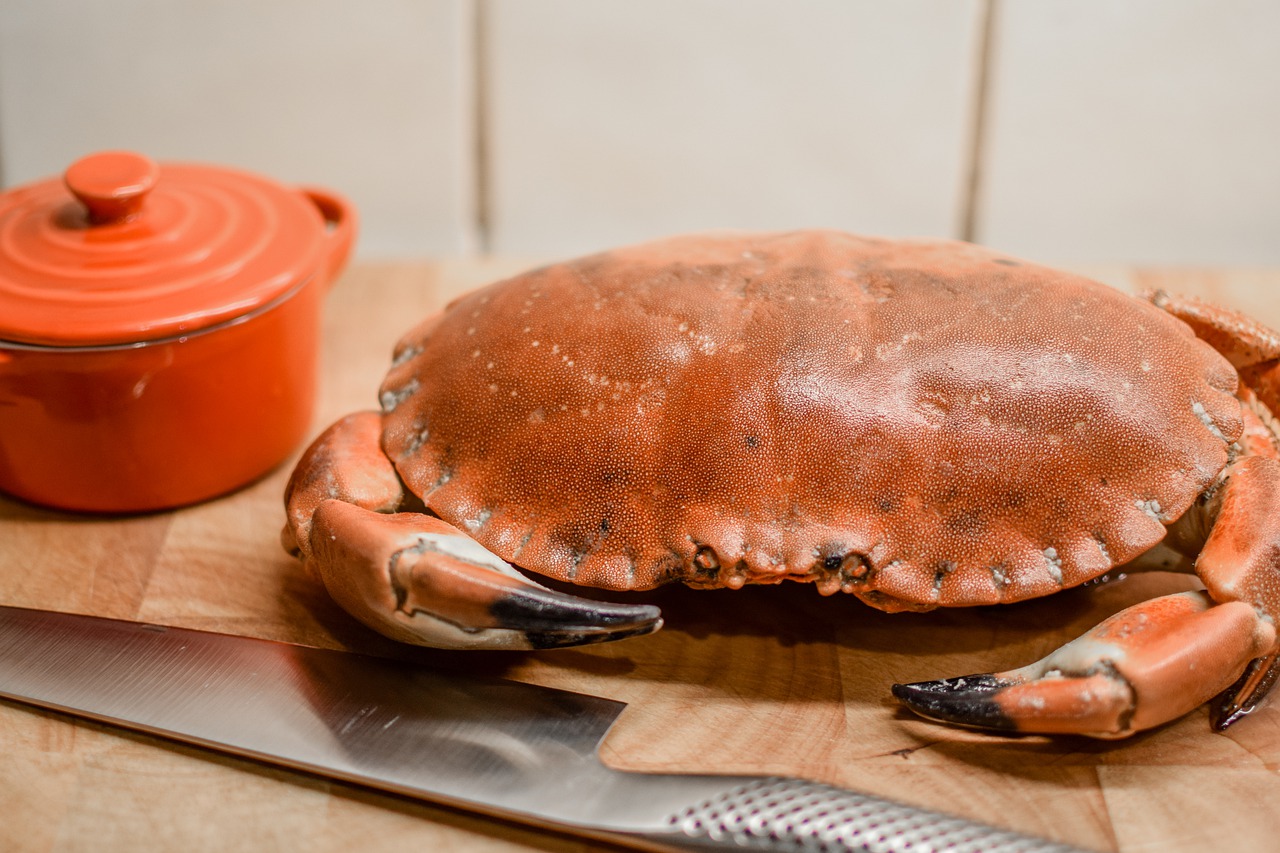 Crab Seafood Dinner Meal  - ugglemamma / Pixabay