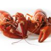 crawfish sweden crayfish party red 423251